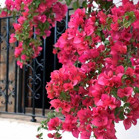Mas De Les Garroferes Villa Useras Екстериор снимка